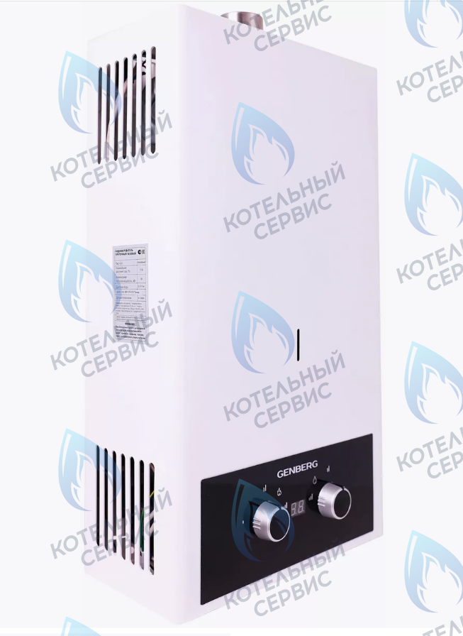410.01 Водонагреватель проточный газовый 20кВт 10л (белый с трубой) Турбо GENBERG в Москве