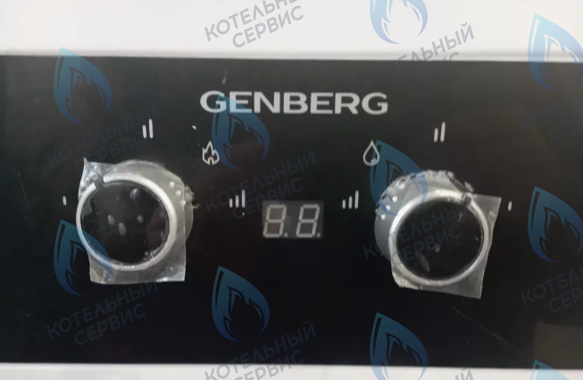 410.01 Водонагреватель проточный газовый 20кВт 10л (белый с трубой) Турбо GENBERG в Москве