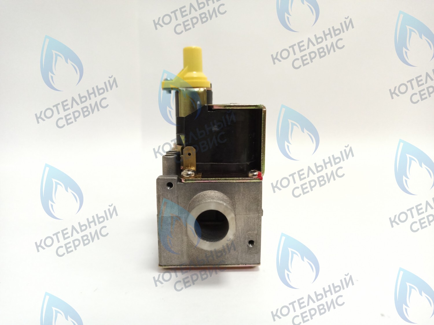 AA10021032 Газовый клапан Electrolux (AA10021032) в Москве