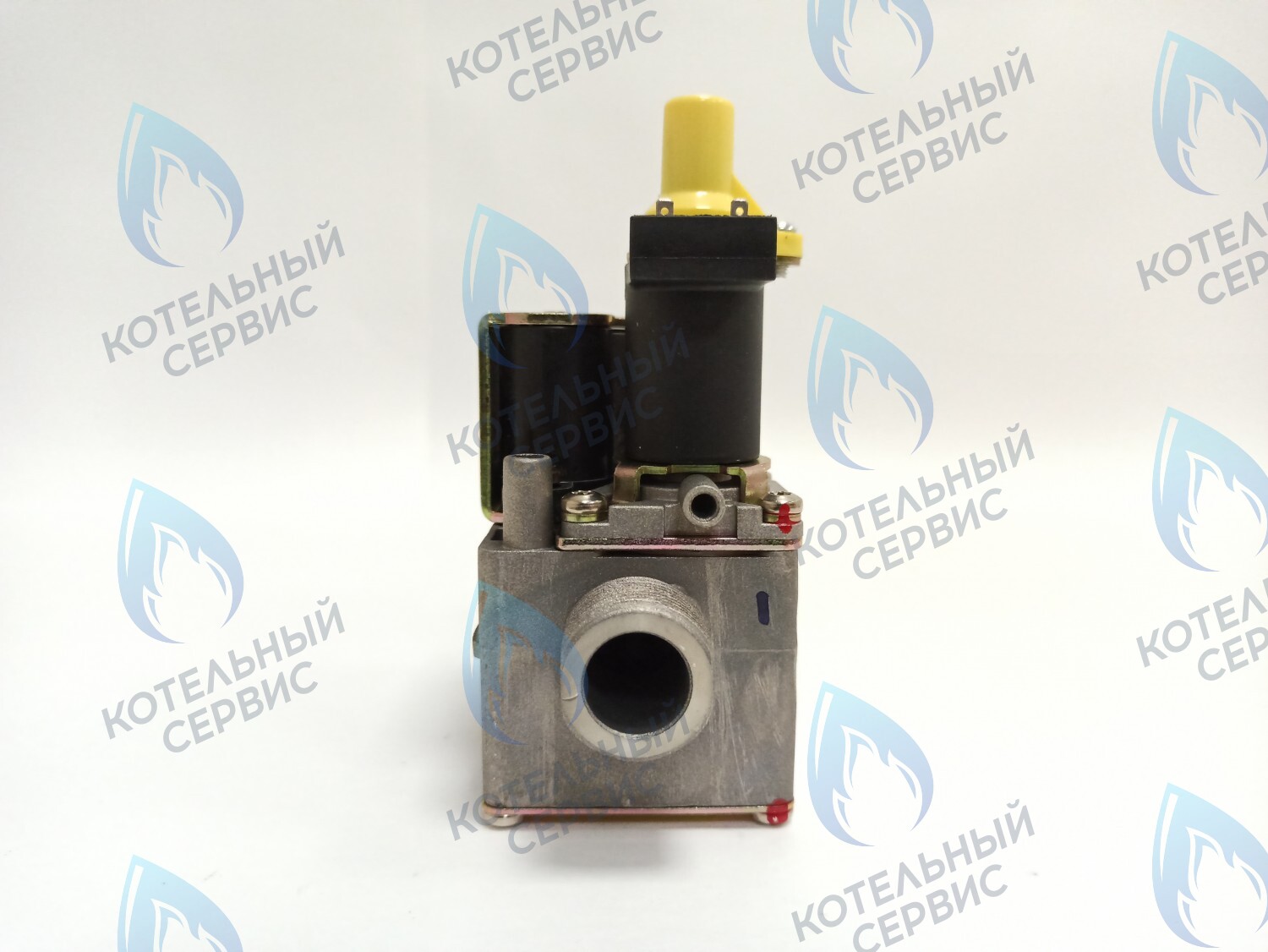 AA10021032 Газовый клапан Electrolux (AA10021032) в Москве