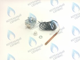 Термостат дымовых газов предохранительный 110C  (36401810) FERROLI