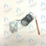 39816110 Термостат дымовых газов предохранительный 110C  (36401810) FERROLI в Москве