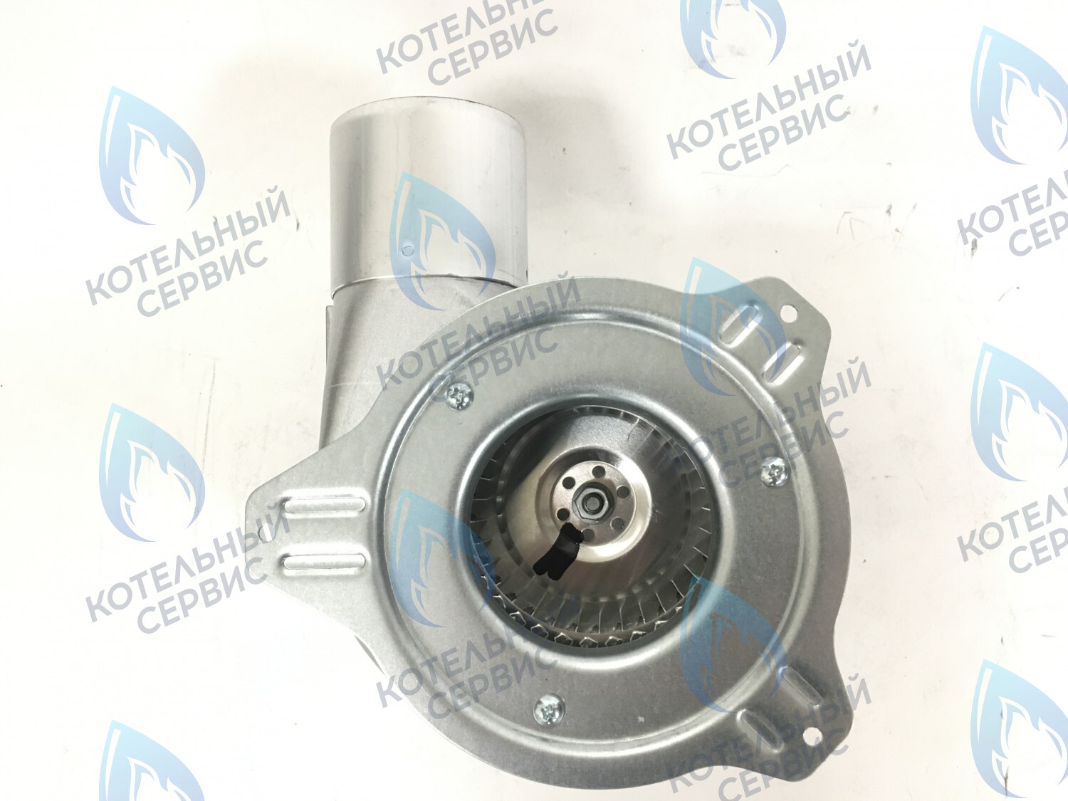 30929 Вентилятор дымоудаления (128224-01.200) BALTGAZ в Москве