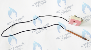 46300210 Термостат FERROLI в Москве