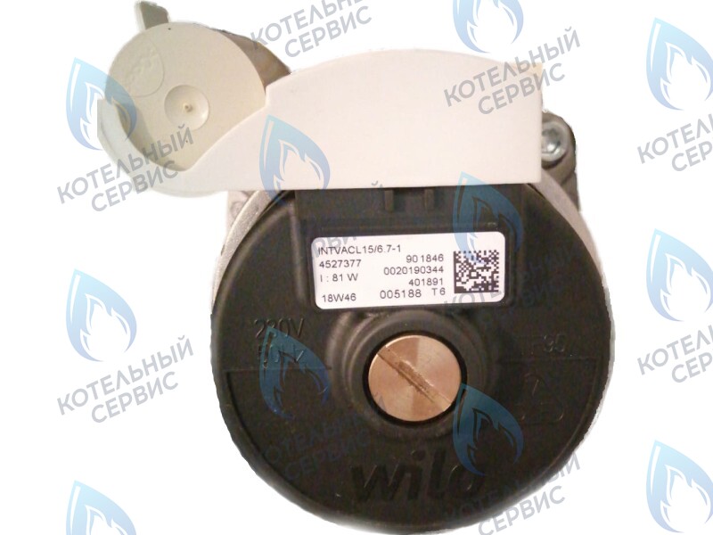 0020186161 Двигатель насоса Protherm Lynx Condens 18/25 MKV -A (H-RU) (81W) (без улитки) (против часовой, втулка 40мм, колесо 68/21мм) в Москве