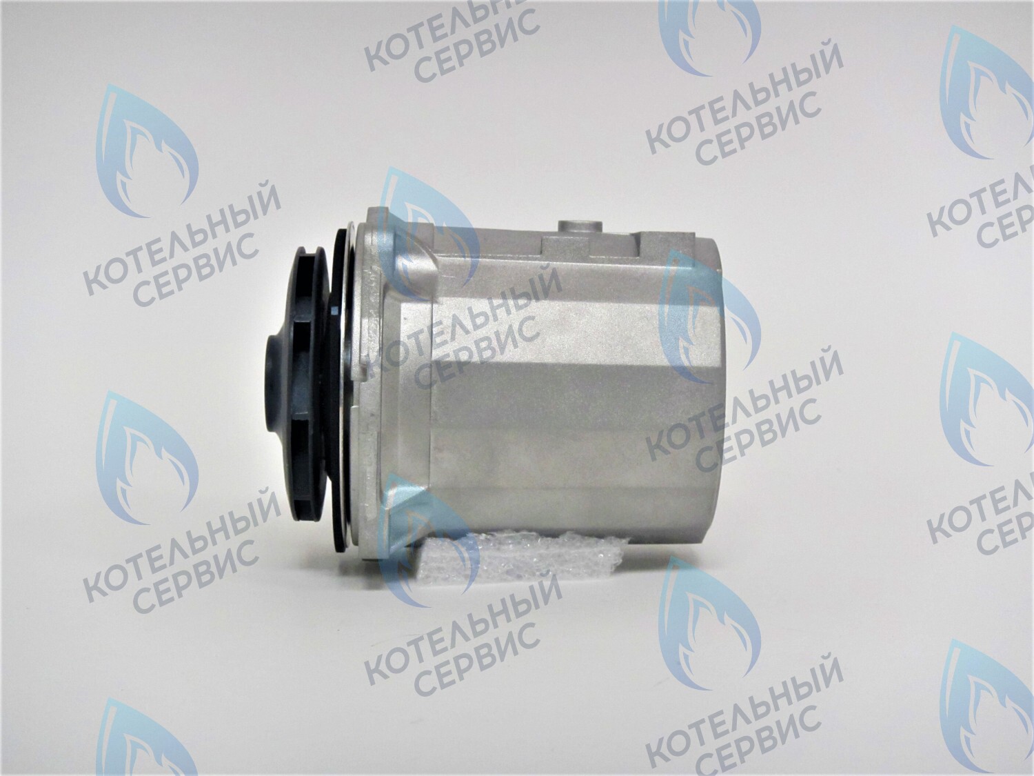 PH-W21CW70-WL118-RS Двигатель насоса (без улитки, без терминала) WILO NFSL 12/7 15/7 118w в Москве