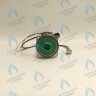 PH-W21CCW60-DA90PR-5PIN Двигатель насоса Duca APW-R 15-6.2A (против часовой стрелки) PROTHERM Пантера H-RU (0020197549, 0020209790) (замена WILO INTVACL 15/6.7-2) ПАНТЕРА 35 KTV H-RU (0020186162) (замена VACL 15/7) в Москве