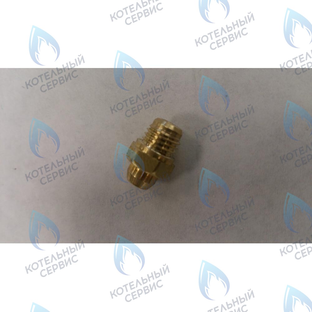 6306101018 Инжектор Ø 0,80 (Сжиженный газ) BAXI в Москве