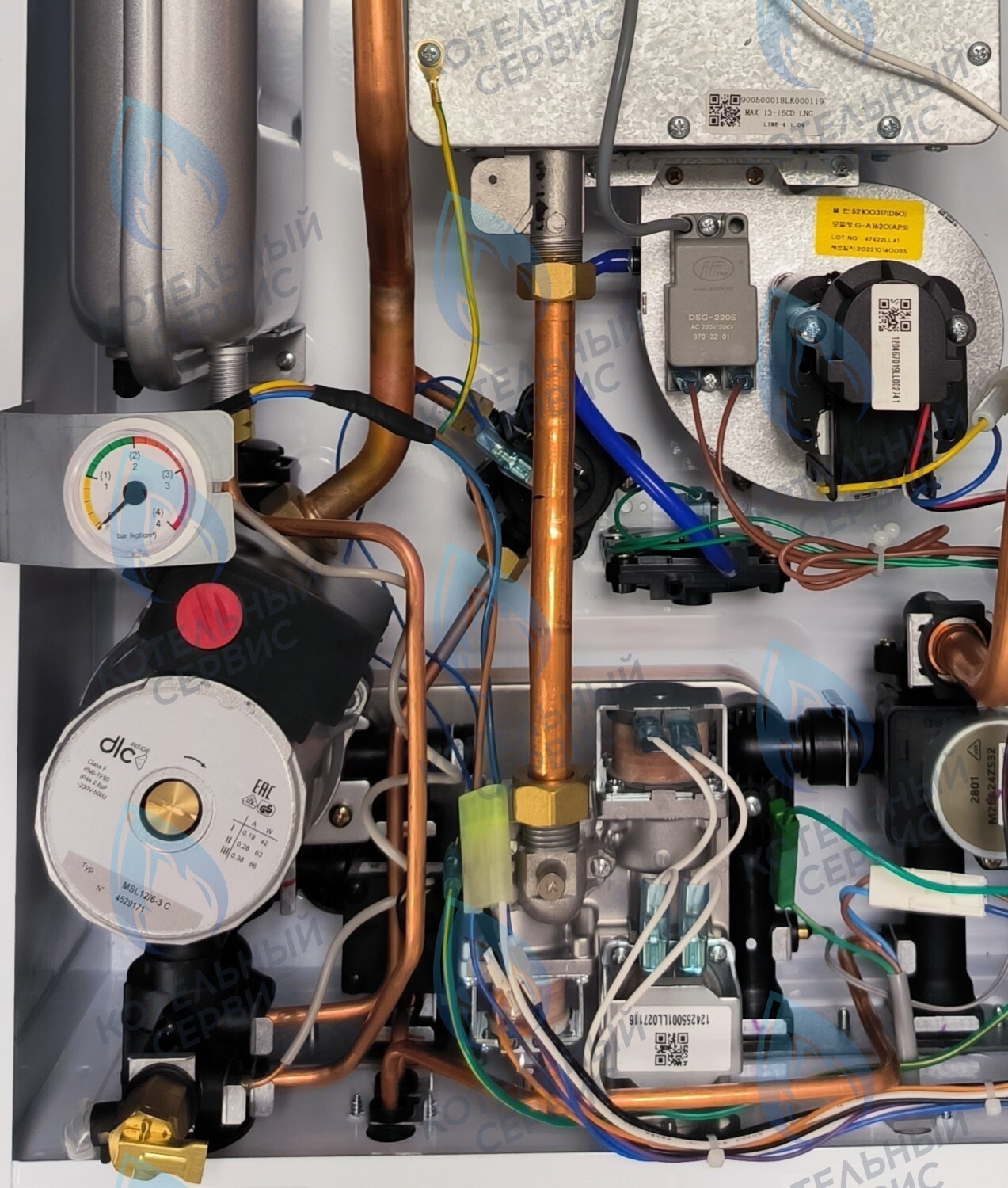 PMDS1AW60-WC86DS-Комп Насос циркуляционный 6м для DAESUNG A16-24 MAX (52050118, 52050130), ARDERIA 2.13-20, CELTIC-DS 3.13-3.20 (2050118, 2050130) (не подходит для MASTER GAS SEOUL и DAESUNG A 2019, где насос посередине) в Москве