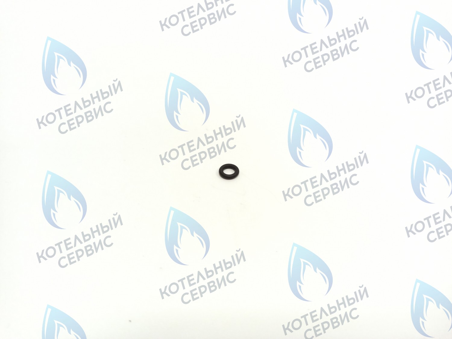 BI1592 120 Прокладка O-Ring 2,0 X 5,5 (BI1592 120) BIASI в Москве