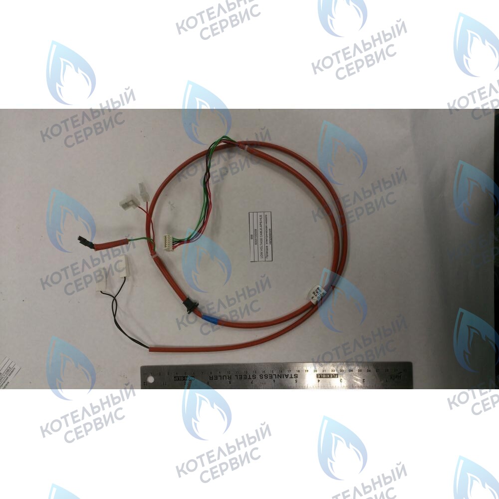 6305100009 Проводка  электрическая низкого  напряжения BAXI в Москве