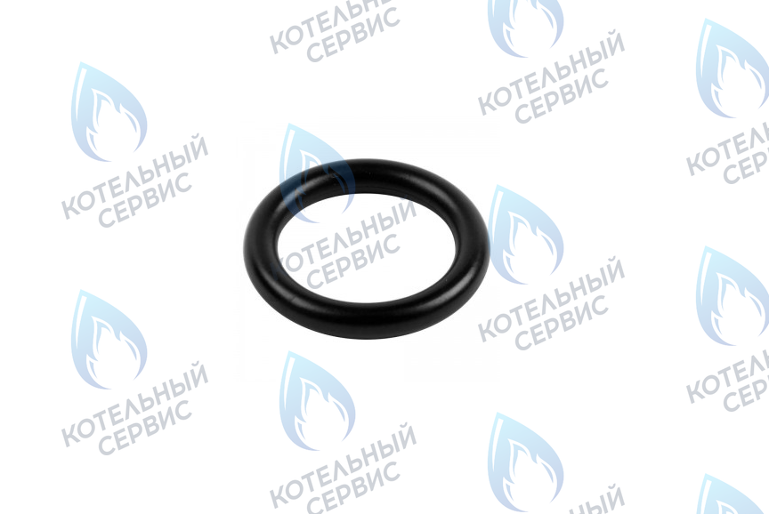 0020034114 Прокладка 14x9,5x2,5 PROTHERM в Москве