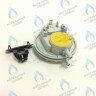 BI1596 102 Прессостат (BI1596 102) BIASI в Москве