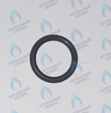 45560250 Кольцо уплотнительное FERROLI в Москве
