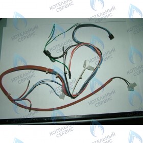 Проводка электрическая (низковольтная) BAXI