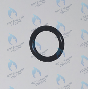 45560540 Кольцо уплотнительное FERROLI в Москве