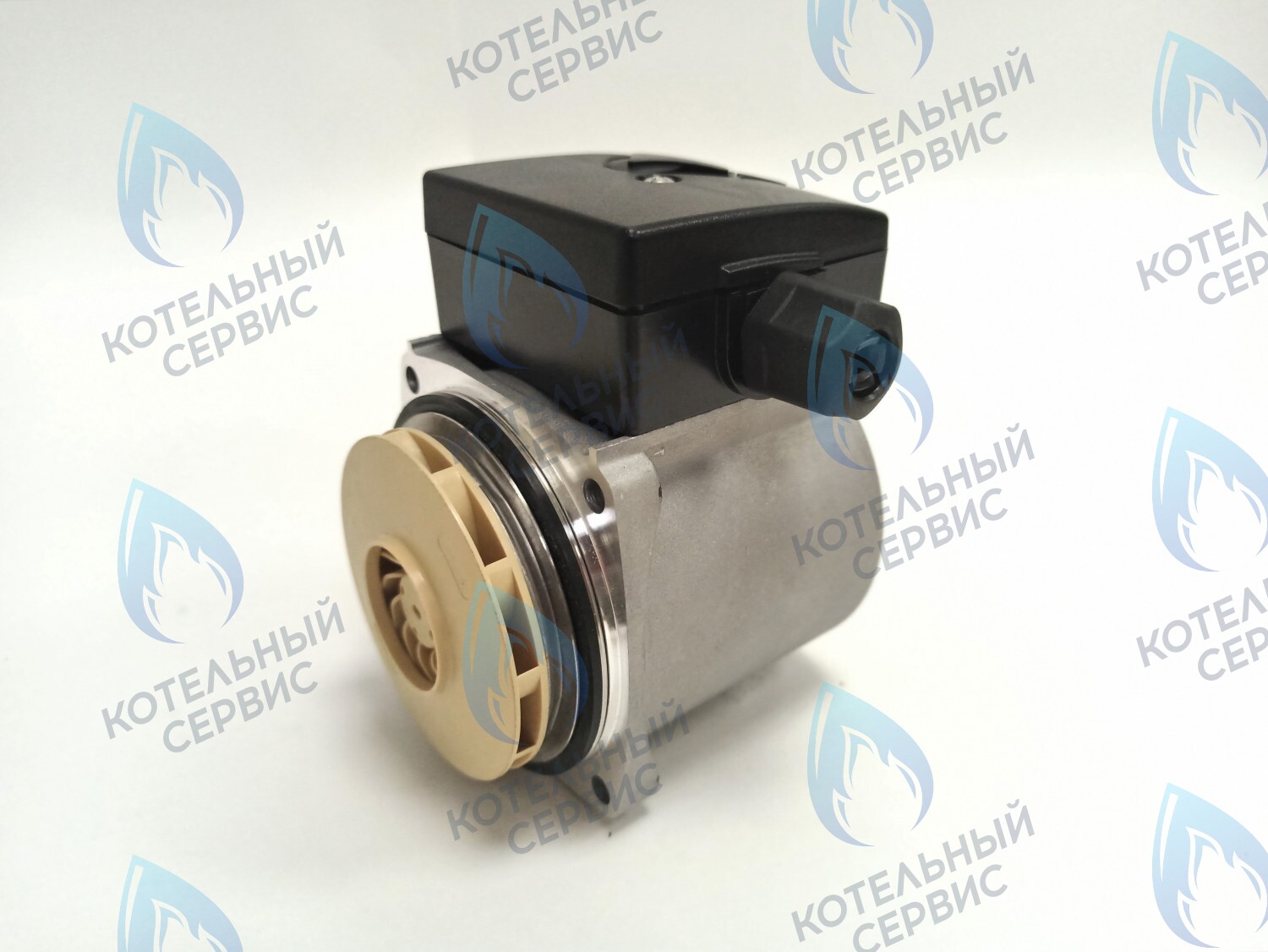 PH-P30CCW50-GB75 Двигатель насоса (против часовой) DD15-50 для Protherm (0020207146, 0020119604) в Москве
