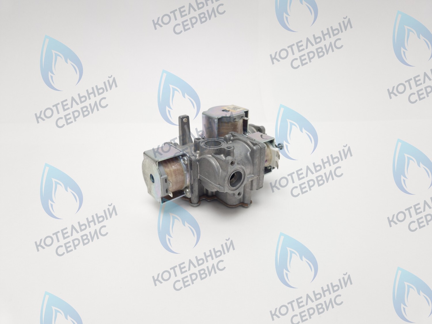 B200-02E-190 Клапан газовый 110V LOTTE E&M Coaxial 13-30K в Москве
