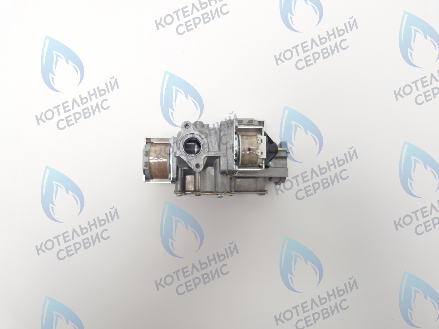 B200-02E-190 Клапан газовый 110V LOTTE E&M Coaxial 13-30K в Москве
