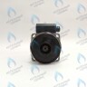 PH-W30CW70-WL132BX Двигатель насоса (без улитки) WILO RS 15/7 132w (30мм по часовой) FERROLI, FONDITAL, BAXI и др в Москве