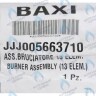 5663710 Горелка (13 элементов) BAXI в Москве