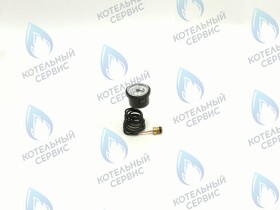 Манометр Alpenhoff Gamburg (151001705)