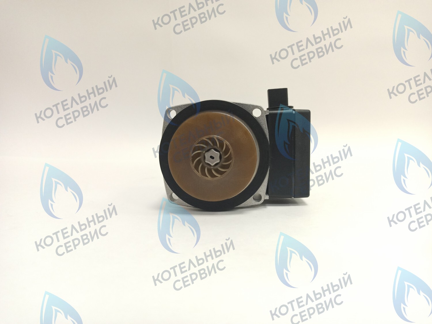 PH-W21CCW50-GR75BB Двигатель насоса GRUNDFOS 15-50 для котла BOSCH 6000/2000 & BUDERUS U072 в Москве