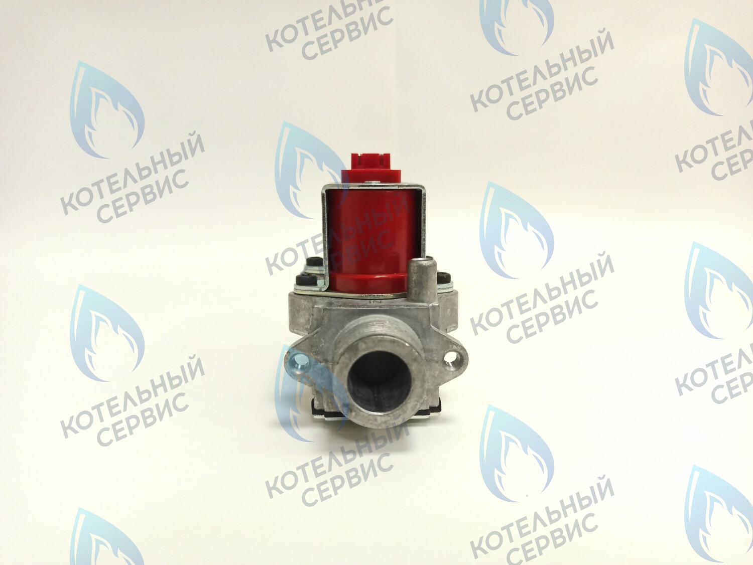 BI1373 100 Газовый клапан B&P (BI1373 100) BIASI в Москве