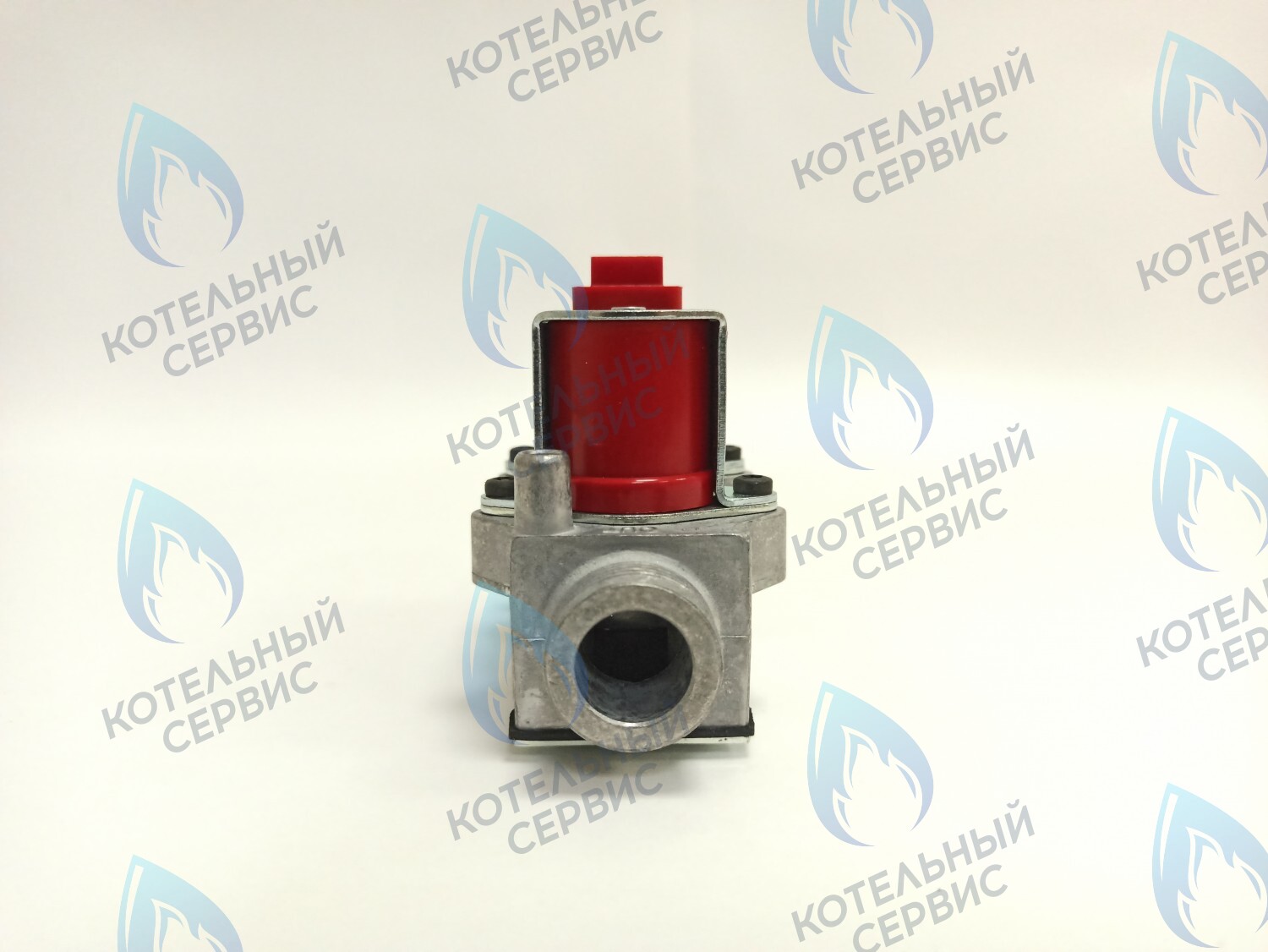 BI1373 100 Газовый клапан B&P (BI1373 100) BIASI в Москве