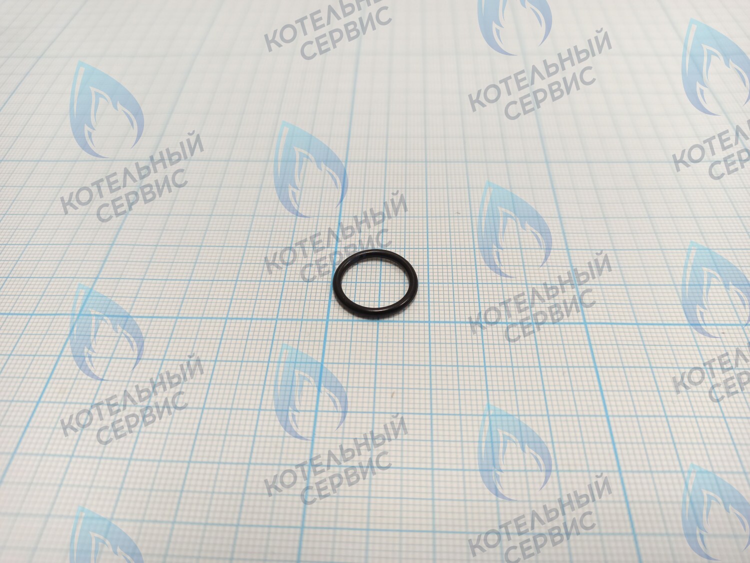 BI1001 129 Прокладка O-Ring 1,78x14,00 BIASI в Москве