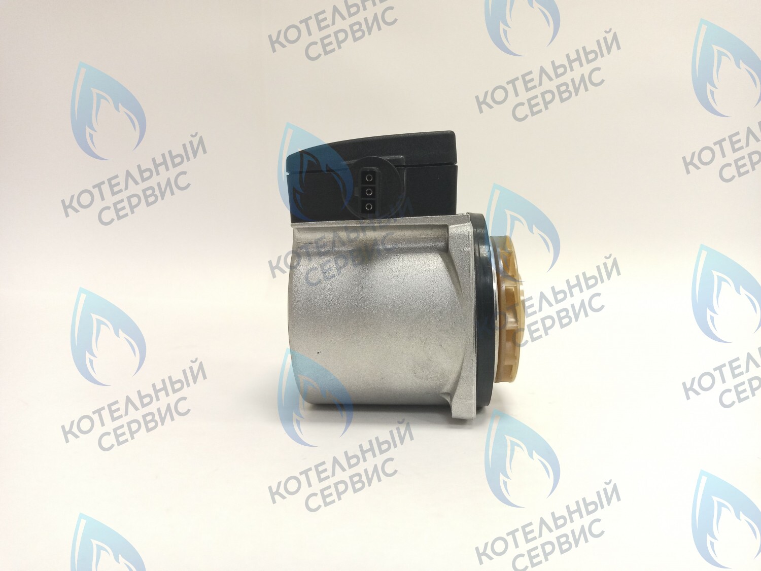 PH-W21CCW60-GR110BB Двигатель насоса GRUNDFOS 15-60 для котла BOSCH 6000/2000 & BUDERUS U072 в Москве