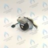PH-W21CCW50-WA79PR-5PIN-Комп Двигатель насоса 1000L/H аналог WILO INTVACL 15/5-2 Protherm Гепард 23 MTV / MOV вер. 19, Пантера 25 KTV / KOV, 30 KTV вер. 19 (без улитки) (против часовой, втулка 35мм, колесо 68/21мм) (0020097216, 0020197548) в Москве