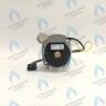 PH-W21CCW50-WA79PR-5PIN-Комп Двигатель насоса 1000L/H аналог WILO INTVACL 15/5-2 Protherm Гепард 23 MTV / MOV вер. 19, Пантера 25 KTV / KOV, 30 KTV вер. 19 (без улитки) (против часовой, втулка 35мм, колесо 68/21мм) (0020097216, 0020197548) в Москве