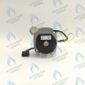 PH-W21CCW50-WA79PR-5PIN-Комп Двигатель насоса 1000L/H аналог WILO INTVACL 15/5-2 Protherm Гепард 23 MTV / MOV вер. 19, Пантера 25 KTV / KOV, 30 KTV вер. 19 (без улитки) (против часовой, втулка 35мм, колесо 68/21мм) (0020097216, 0020197548) в Москве