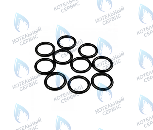 0020027470 Прокладка уплотнительная круглая 15,1x2,7 мм комплект PROTHERM (10 шт.) в Москве