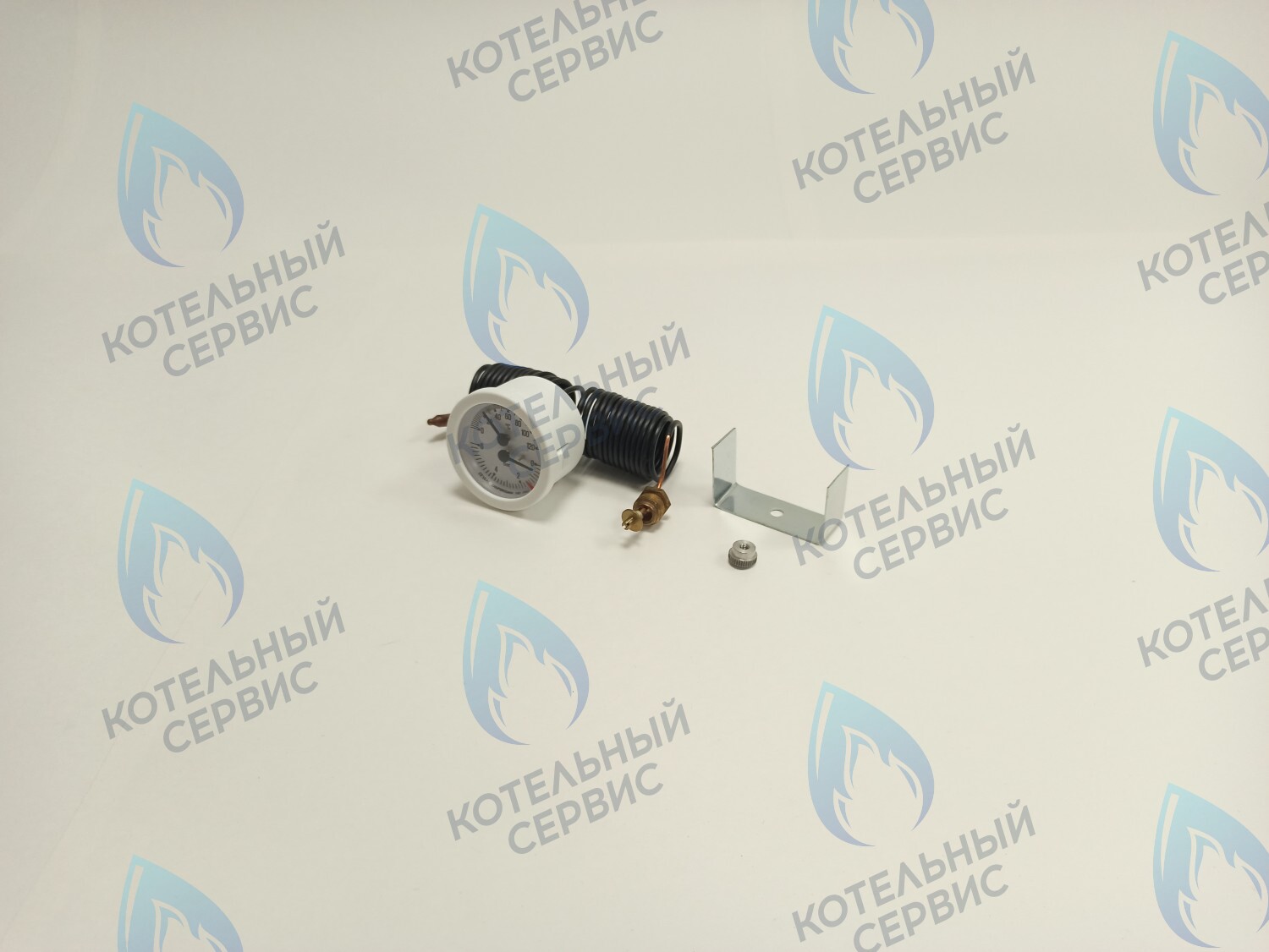 39806020 Термоманометр 0-6 bar 0-120C  (36400790) FERROLI PEGASUS F3 в Москве