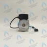 PH-W21CW60-WC83-5PIN-Комп Двигатель насоса аналог WILO VHSL15/6 HE-2 (по часовой стрелке) PROTHERM Лев, Пантера V.18 (0020078492), Скат K13, Дельфин (0020094635), Скат V14 (0010025841) VAILLANT atmo/turboTEC 20-28 КВТ (0020213167, 0020005803), eloBLOCK (0020107584) в Москве