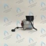 PH-W21CW60-WC83-5PIN-Комп Двигатель насоса аналог WILO VHSL15/6 HE-2 (по часовой стрелке) PROTHERM Лев, Пантера V.18 (0020078492), Скат K13, Дельфин (0020094635), Скат V14 (0010025841) VAILLANT atmo/turboTEC 20-28 КВТ (0020213167, 0020005803), eloBLOCK (0020107584) в Москве