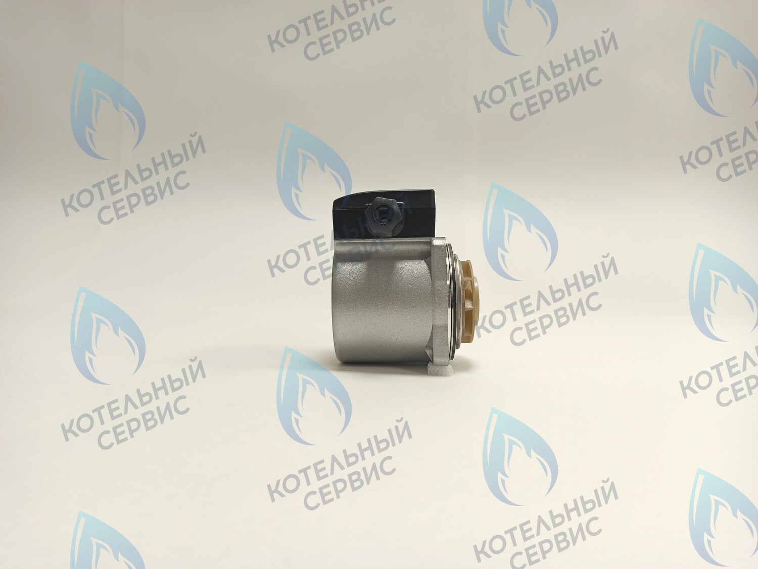 PH-G30CCW70-DG135 Двигатель насоса (против часовой) DUCA BPS-G 15-70 135w (ССП) в Москве PH-G30CCW70-DG135 Двигатель насоса (против часовой) DUCA BPS-G 15-70 135w (ССП) в Москве