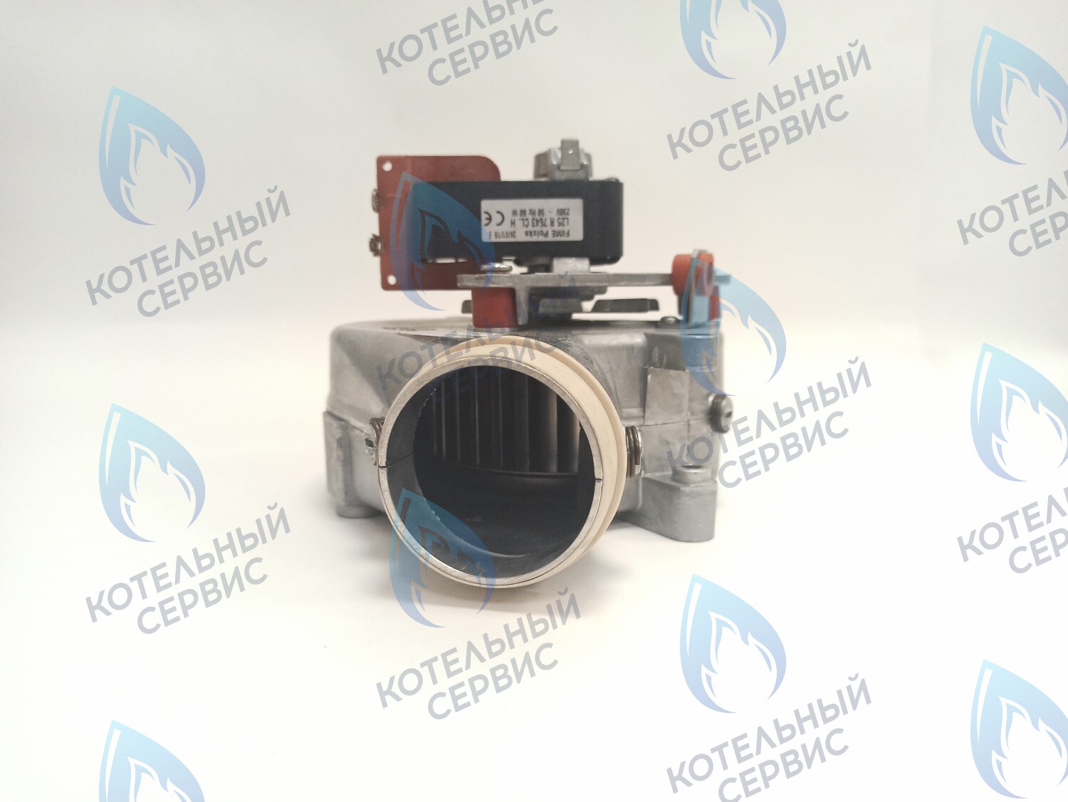 2000801860 Вентилятор дымоудаления 60w 30KTV19 PROTHERM в Москве