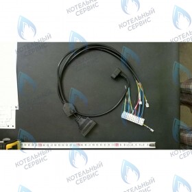 Проводка электрическая низковольтная (от разъема платы x5 к модулятору, клеммной колодке, датчику NTC ГВС, реле минимального давления и датчику протока ГВС) BAXI