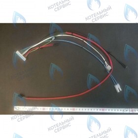 Проводка электрическая (от разъема  платы x5 к датчику протока, датчику NTC ГВС, гидр. прессостату) BAXI