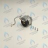 PH-W21CW50-DA84-2PIN Двигатель насоса DUCA APW 15-5.1A (1 скорости) аналог Wilo Ariston (60001584, 60000876, 60000876-01) в Москве