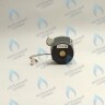 PH-W21CW50-DA84-2PIN Двигатель насоса DUCA APW 15-5.1A (1 скорости) аналог Wilo Ariston (60001584, 60000876, 60000876-01) в Москве