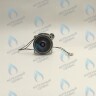 PH-W21CW50-DA84-2PIN Двигатель насоса DUCA APW 15-5.1A (1 скорости) аналог Wilo Ariston (60001584, 60000876, 60000876-01) в Москве