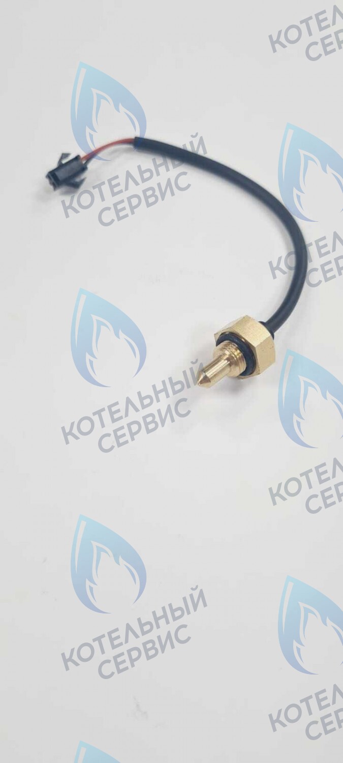 TS008-WP-10-02 Датчик температуры погружной G8 с проводом - папа Mizudo 10кОм в Москве