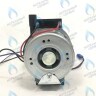 PMDW1A-DW85-Комп Насос циркуляционный Daewoo DWMG-5070PL (100-300 MSC-2008) (3317416010,3317418705) в Москве