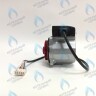PH-W21CCW67-DW92PR-5PIN Двигатель насоса DUCA VPWR 6.7A (против часовой стрелки) PROTHERM Пантера H-RU (0020197549, 0020209790) (замена WILO INTVACL 15/6.7-2) ПАНТЕРА 35 KTV H-RU (0020186162) (замена VACL 15/7) в Москве