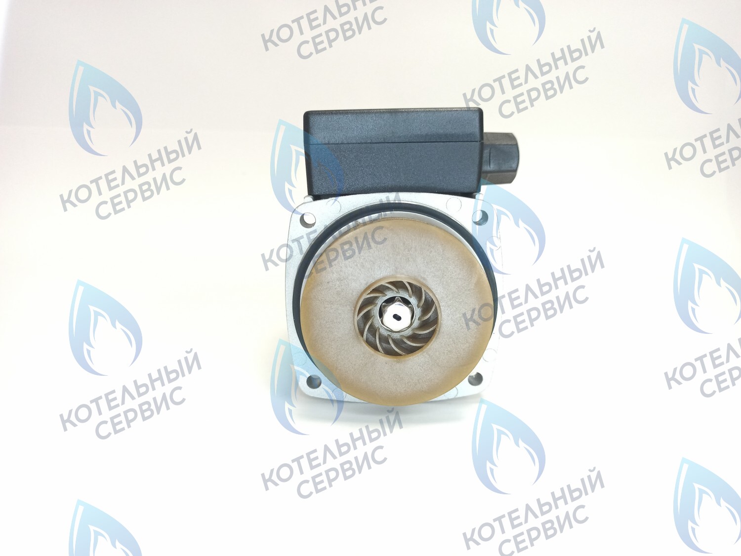 PH-G30CCW60-ER105 Двигатель насоса (против часовой) ERCO DWP15-60-A (без улитки) в Москве