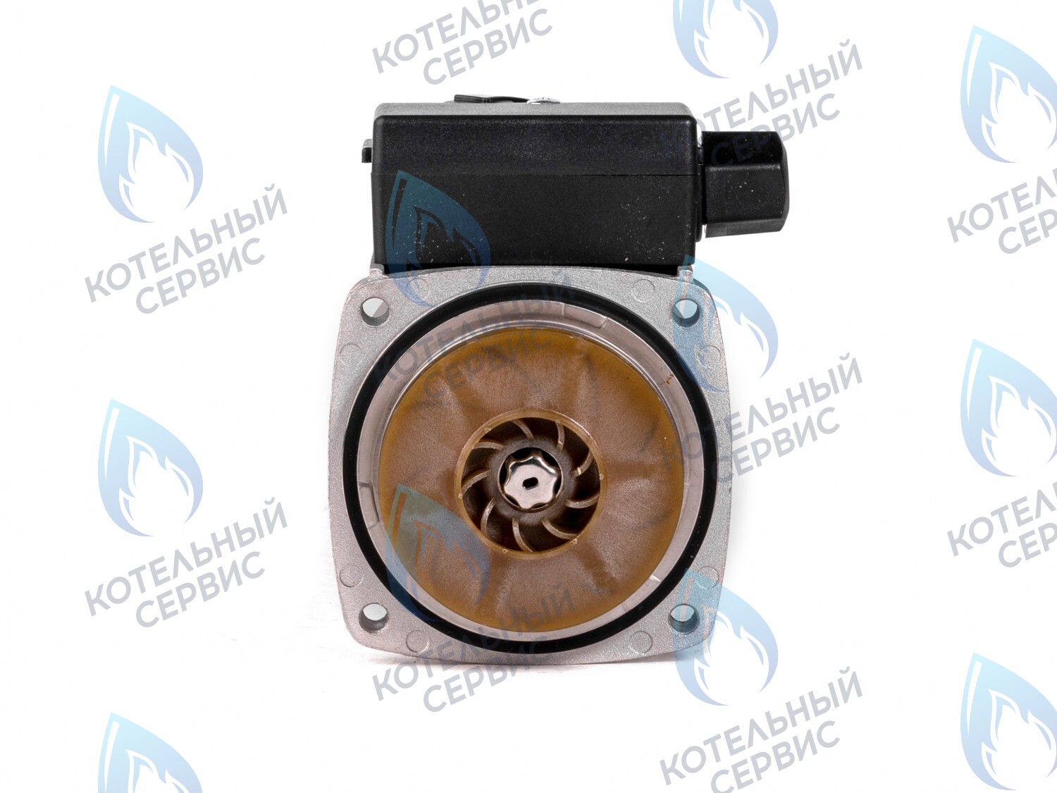 PH-G30CCW50-ER95 Двигатель насоса (против часовой) ERCO DWP15-50-A (без улитки) в Москве